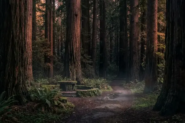 Infiltrating the Grove: A Case Study of Elite Occult Rituals and Power Brokering